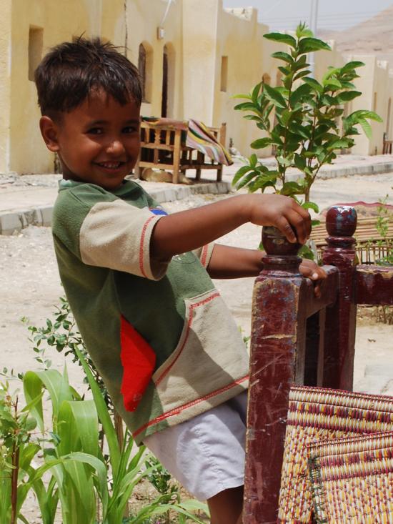 Un enfant, un banc - New gournah.