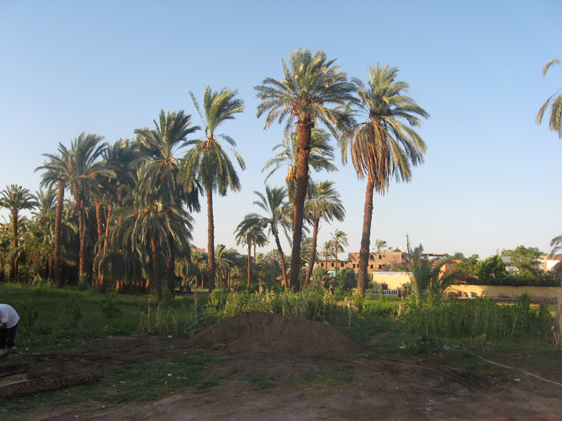 Westbank - Campagne