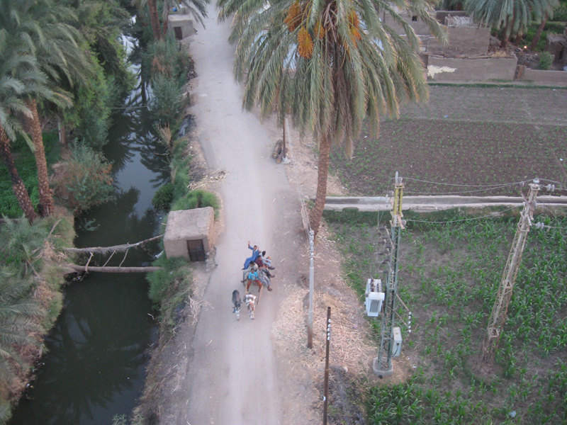 Charette transportant des enfants