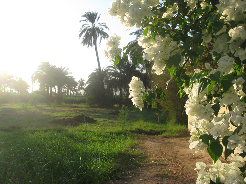 Westbank - Campagne