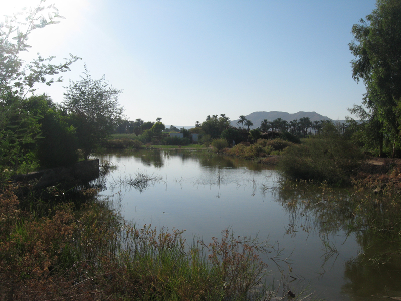 Westbank - Campagne