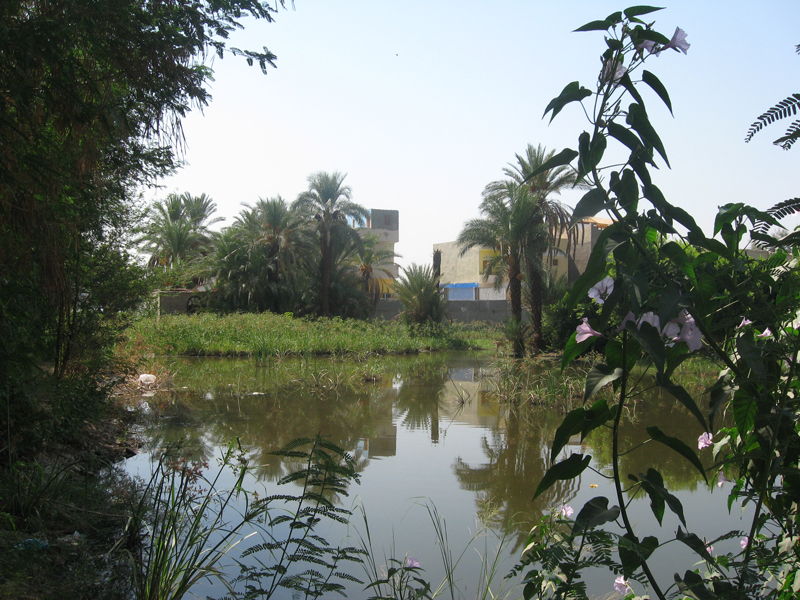 Westbank - Campagne