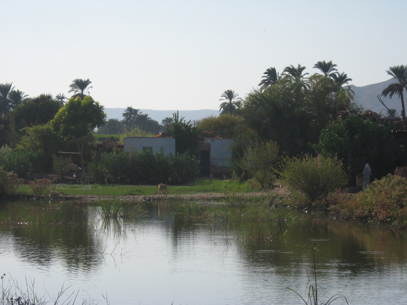 Westbank - Campagne