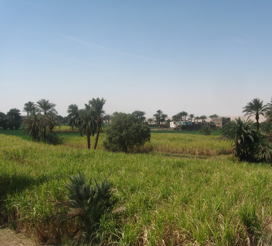 La campagne proche de la villa.