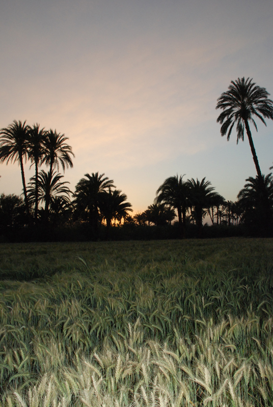 Couché de Râ sur la campagne - Photo de Marie Grillot