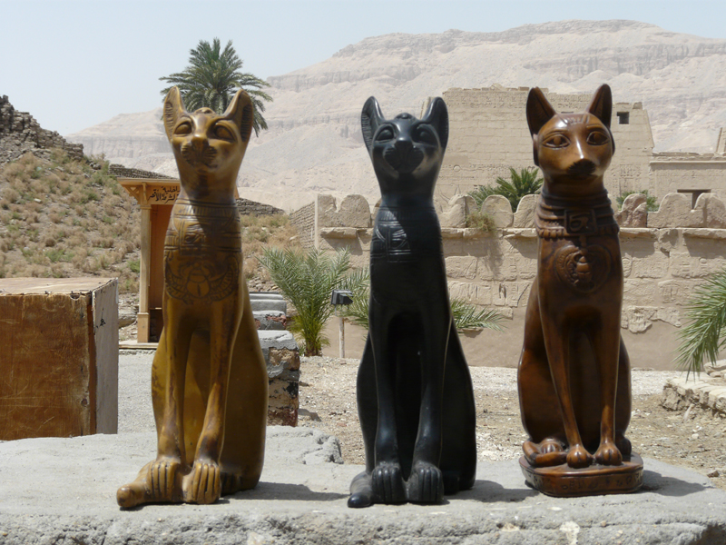 Bastet trônant devant Medinet Habou - Photo de Marie Claire.