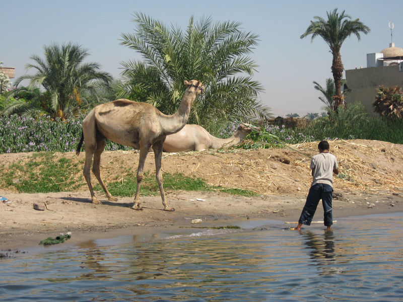 Westbank - Berges