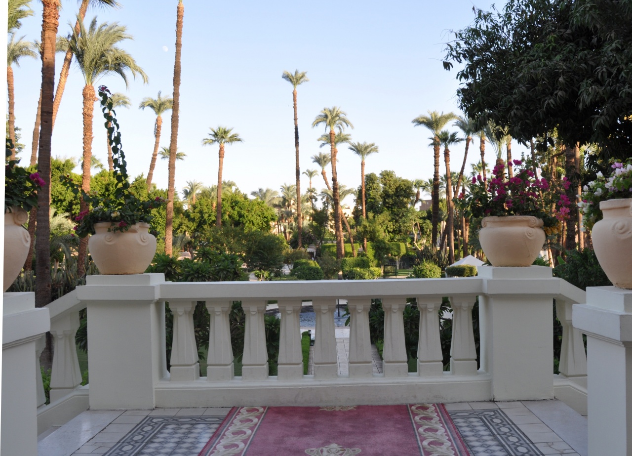 Le jardin vue de l'escalier d'accès à l'hôtel.