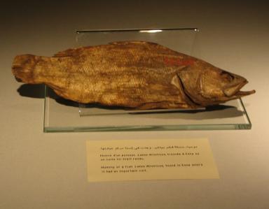 Momie de poisson