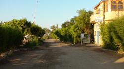 Le quartier de Gezira ou  Ramla.