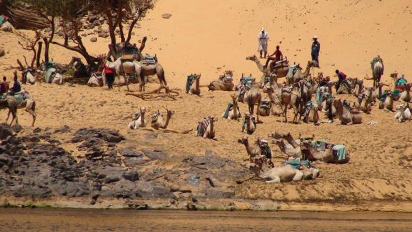 Plage pour la baignade