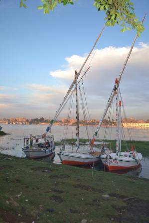 Les berges du Nil à 50m des villas.