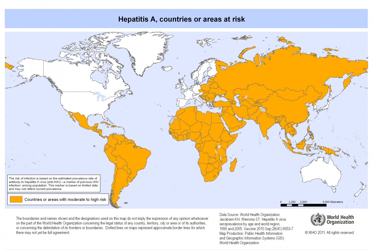 L'hépathite A