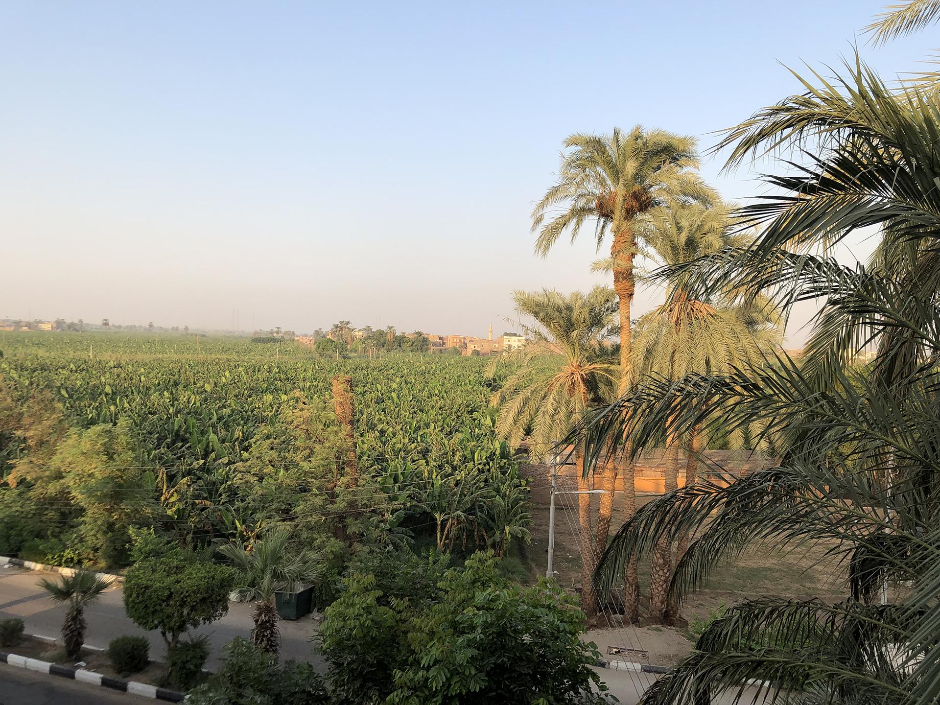 Vue de la terrasse