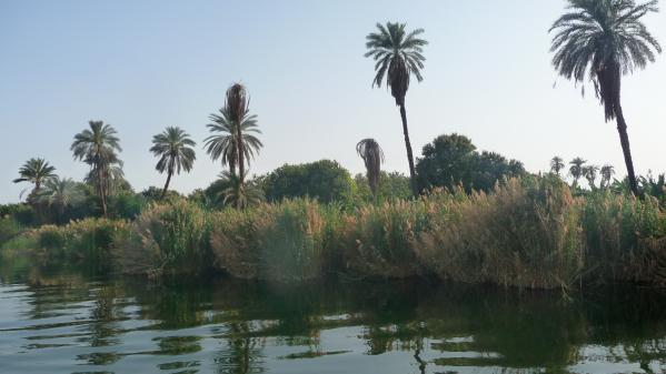 Les berges du Nil