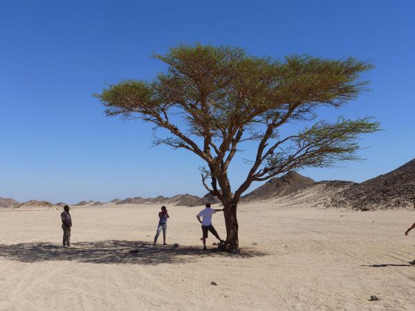 Le désert proche d'Hurghada