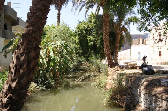 Le canal entre la route et le caravansérail